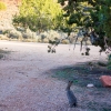 DSC01803