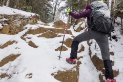 Adirondacks - January