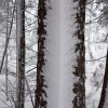 ADK-Jan17-13