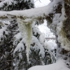 ADK-Jan17-18