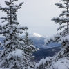 ADK-Jan17-19