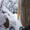 ADK-Jan17-20
