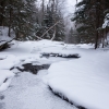 ADK-Jan17-3