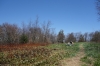 dsc02313-custom