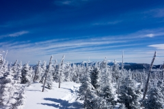 New Hampshire 2015