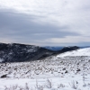 DSC07538.jpg