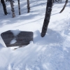 DSC07554.jpg