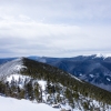 DSC07558.jpg