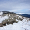 DSC07595.jpg