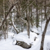 DSC07445.jpg