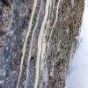 DSC07458.jpg