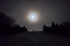 Bromley Moonlight Hike