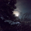 BromleyMoonlitHike-2