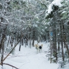 DSC07235.jpg