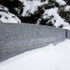 DSC07238.jpg