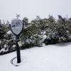 DSC07240.jpg