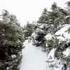 DSC07241.jpg