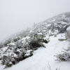 DSC07247.jpg
