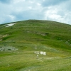 DSC06251