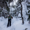 DSC07410.jpg