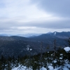 DSC07412.jpg