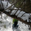DSCN3426.jpg