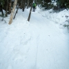 DSCN3436.jpg