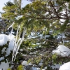 DSC07732.jpg