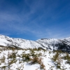 DSC07735.jpg