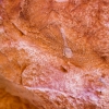 DSC00545