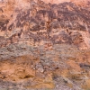 DSC00557