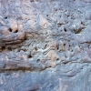 DSC00719