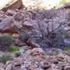 DSC01162