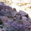 DSC01163
