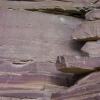 DSC01274
