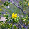 DSC01405