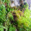 DSC01483