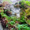 DSC01484