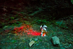 Night Climbing