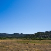 DSC07816