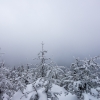 DSC07374.jpg