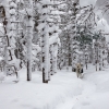 DSC07378.jpg