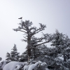 DSC07380.jpg