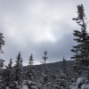 DSC07388.jpg