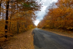 Trans Adirondack Route