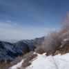 DSC05186