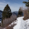 DSC05187