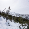 DSC07611.jpg
