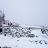 DSC07641.jpg