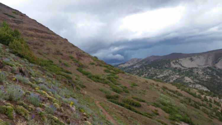 Kennedy Meadows North – Wayfarer